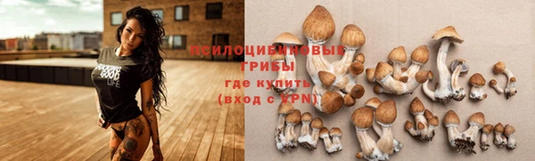 Альфа ПВП Арсеньев